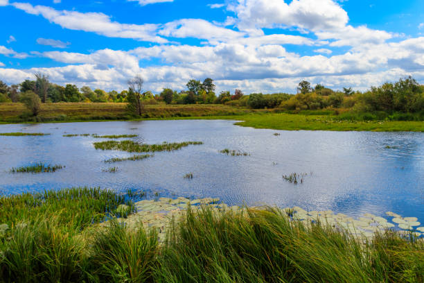 Furzton Lake in Milton Keynes