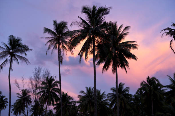 istock Tropical Scenery. Sunset in amazing Khao Lak. 1213484061