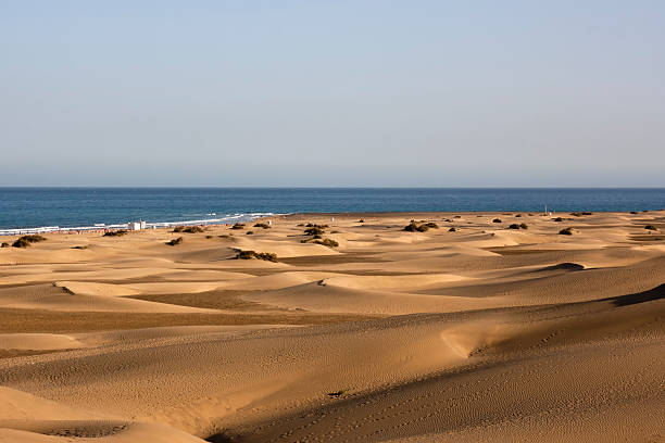 istock Dunes in Maspalomas / Gran Canaria 121348605