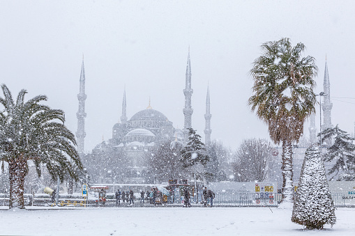 View of Sultanahmet Mosque (Blue Mosque) in a snowy winter day in Istanbul Turkey