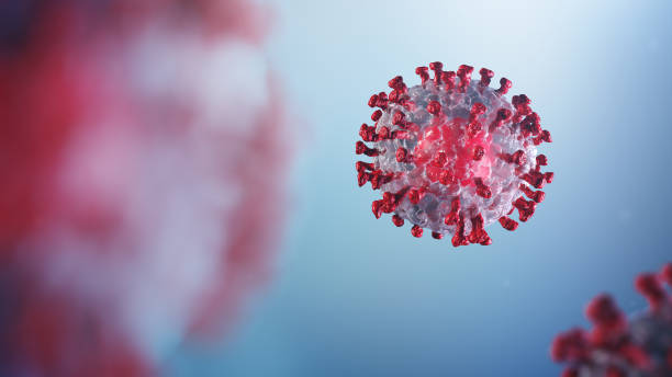 istock 3D illustration of corona virus coronavirus COVID-2019 in microscope 1213488197