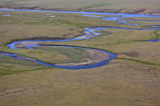 istock Tundra landscape in summer 1213488237