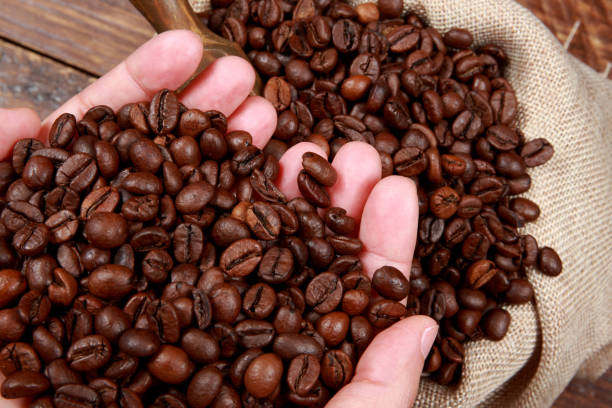 istock Roasted Coffee Beans ready for the Percolator 1213489348