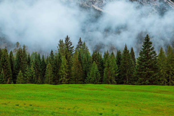 istock Beautiful Austrian countryside landscape view 1213489407
