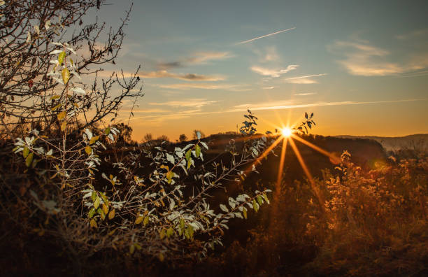 Sunrise over wooded hills in fall stock photo