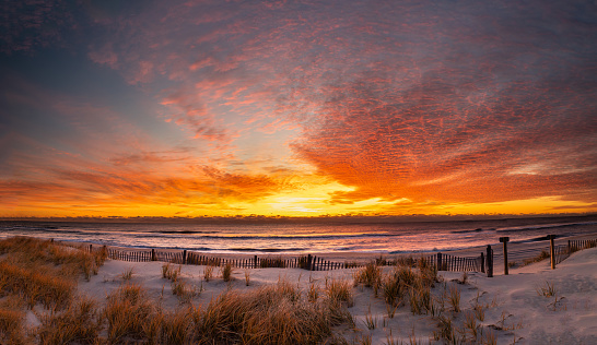 Golden sunrise over the beach at Pearl Sreet in Beach Haven, NJ with grass and a dune fence in the foreground