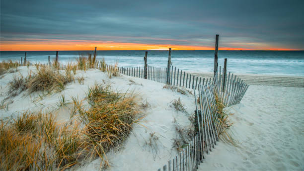 Cloudy sunrise at the beach with a dune fence stock photo