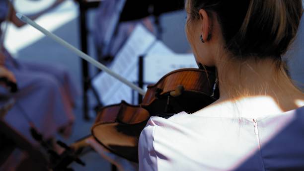 istock Young Violinist Playing Classical Music At Event 1213491097