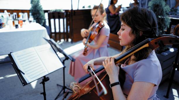 letnia impreza muzyki klasycznej lub ceremonia ślubna - violin women violinist music zdjęcia i obrazy z banku zdjęć