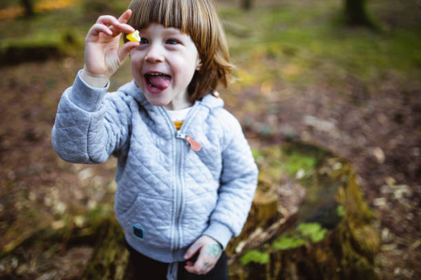 Toddler playing in the forest
