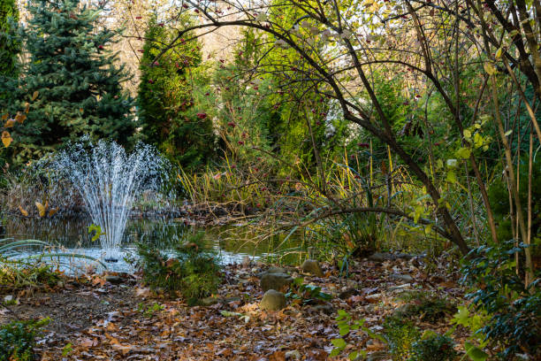 istock Magic pond with cascading fountain on emerald surface of water on blurry background of evergreens. Selective focus. Autumn landscape in evergreen garden. Nature concept for design. 1213496263
