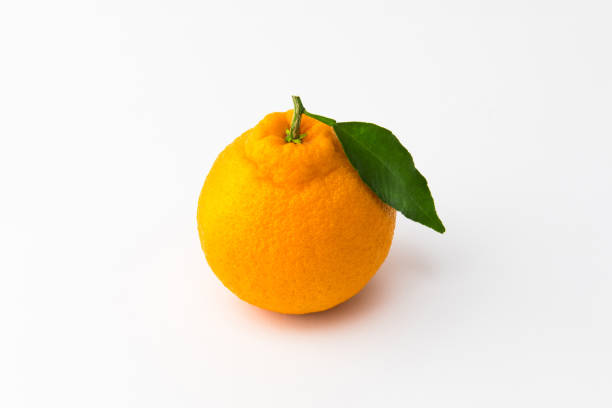 istock Orange Hallabong on a white background. One fruit seen from above. (Korea, Jeju Island specialties) 1213496582