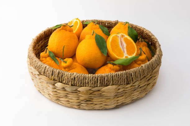istock Many orange Hallabongs in a basket. (Korea, Jeju Island specialties) 1213496583
