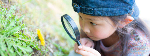 ragazza che gioca con una lente d'ingrandimento - searching child curiosity discovery foto e immagini stock