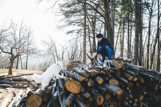 istock Man playing with the dog in the countryside 1213496814
