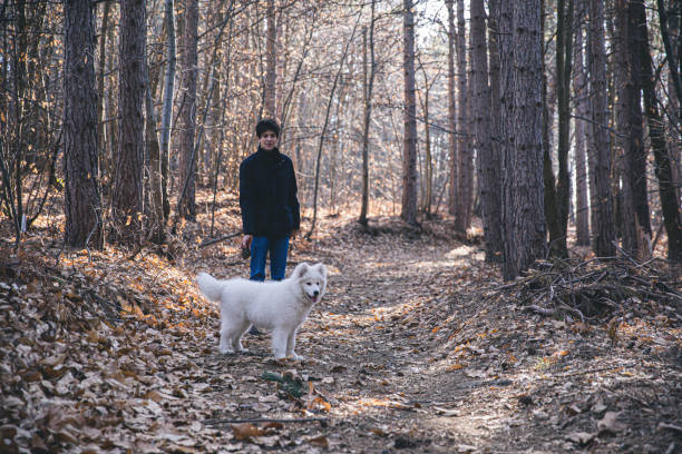 istock Man playing with the dog in the countryside 1213497941