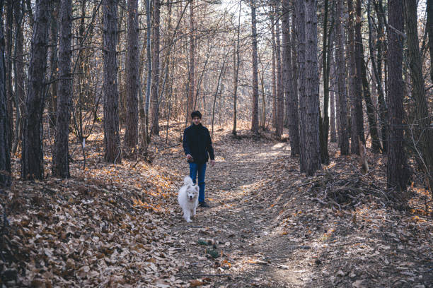 istock Man playing with the dog in the countryside 1213498077
