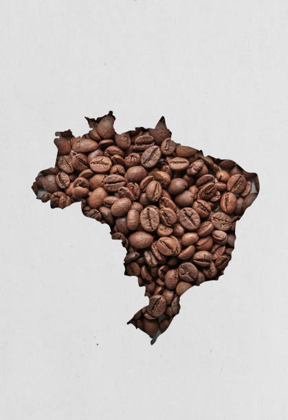 brasilianische kaffeebohnen - cappuccino coffee bean bean espresso stock-fotos und bilder