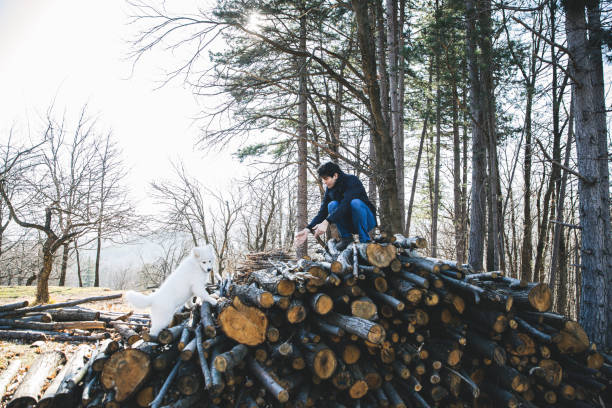 istock Man playing with the dog in the countryside 1213499593