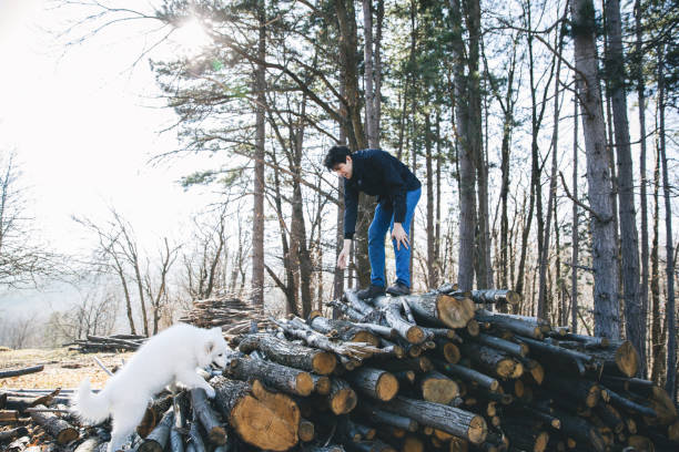 istock Man playing with the dog in the countryside 1213499861