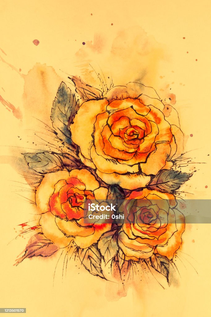 Painting Three Roses Watercolor Painting Bunch Of Three Roses Stock Illustration - Download ...