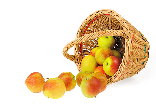 istock Fresh apples spilling out of basket - isolated on white 121350288