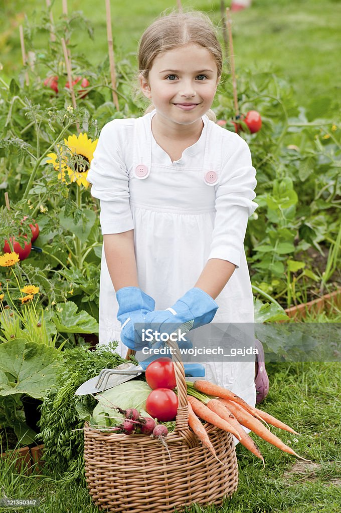 Little gardener  Picking - Harvesting Stock Photo