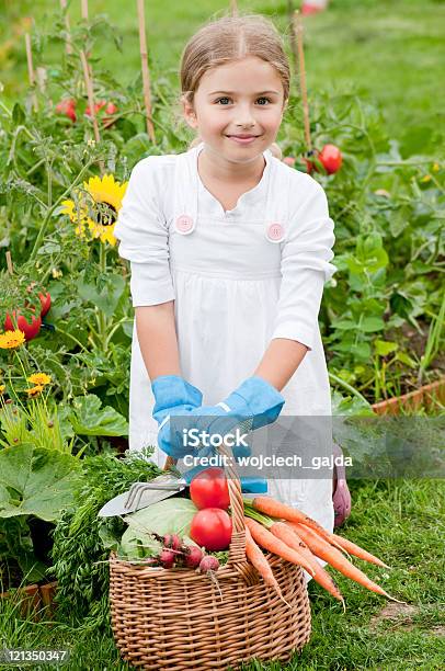 Little Gardener Stock Photo - Download Image Now - Picking - Harvesting, Child, Radish