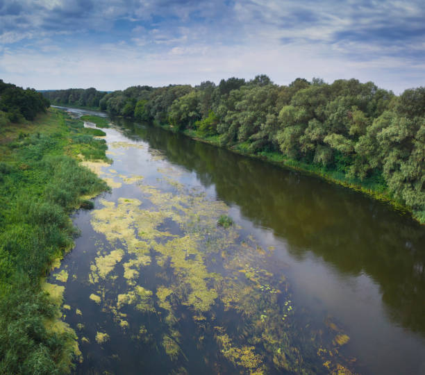 River landscape with mood weather in summer, top view
