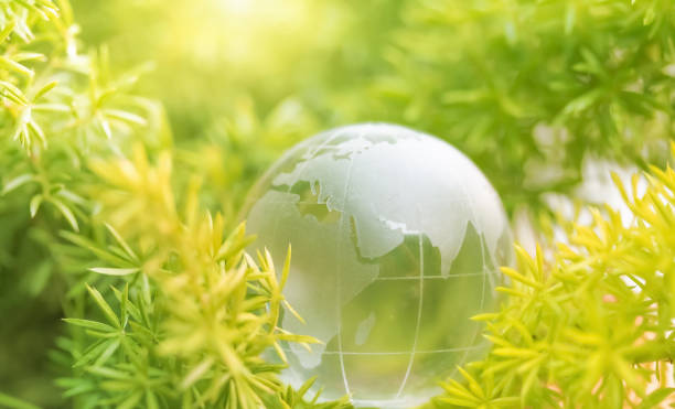 istock World environment concept, Ecology earth environmental, Transparent crystal globe and green nature forest background, Help world concept 1213508653