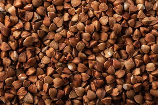 istock buckwheat. fresh buckwheat. dry buckwheat background. buckwheat texture 1213511961
