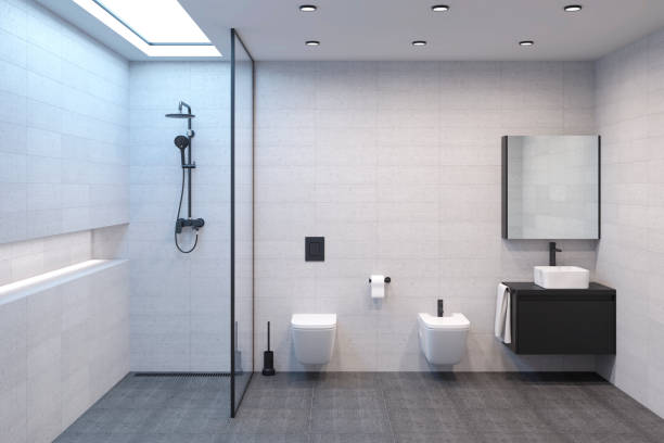 istock Minimalist modern bright shower room with a daylight lamp in the ceiling to create the illusion of a window. Dark hardware to create contrast with light walls. Shower, toilet, bidet and washbasin with mirror. Front view. 1213512162