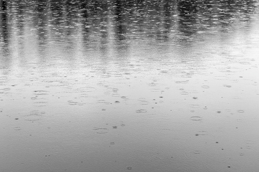 Raindrops on the surface of water in a lake. Black and white image.