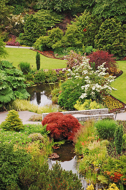 istock Lush colorful garden 121351768