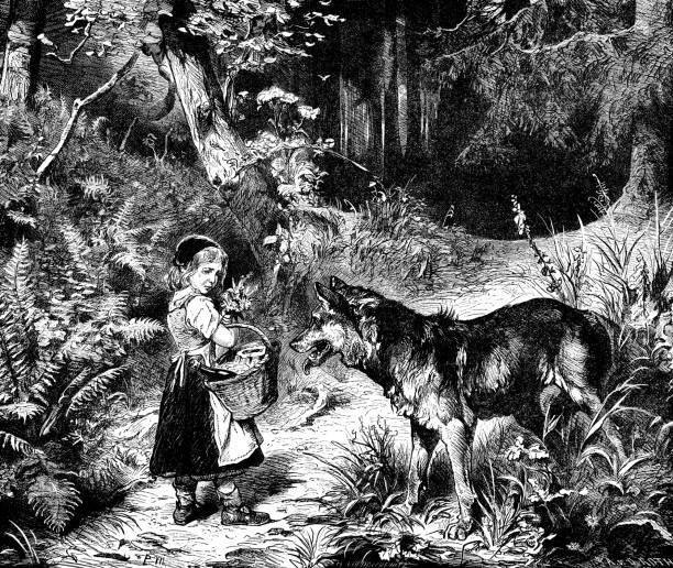 Little Red Riding Hood meets the wolf in the forest Little Red Riding Hood meets the Big Bad Wolf in the forest as makes her way to Grandma’s house. From “The Cottager and Artisan, 1873”, published by The Religious Tract Society, London. brothers grimm stock illustrations