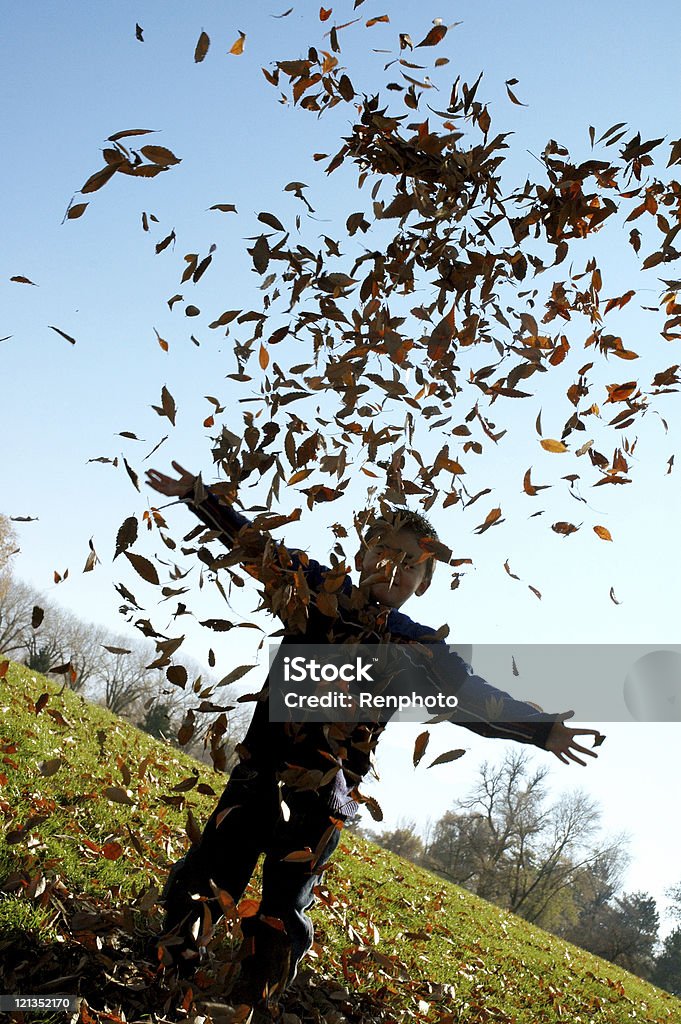 Diversión tirando hojas de otoño - Foto de stock de Aire libre libre de derechos