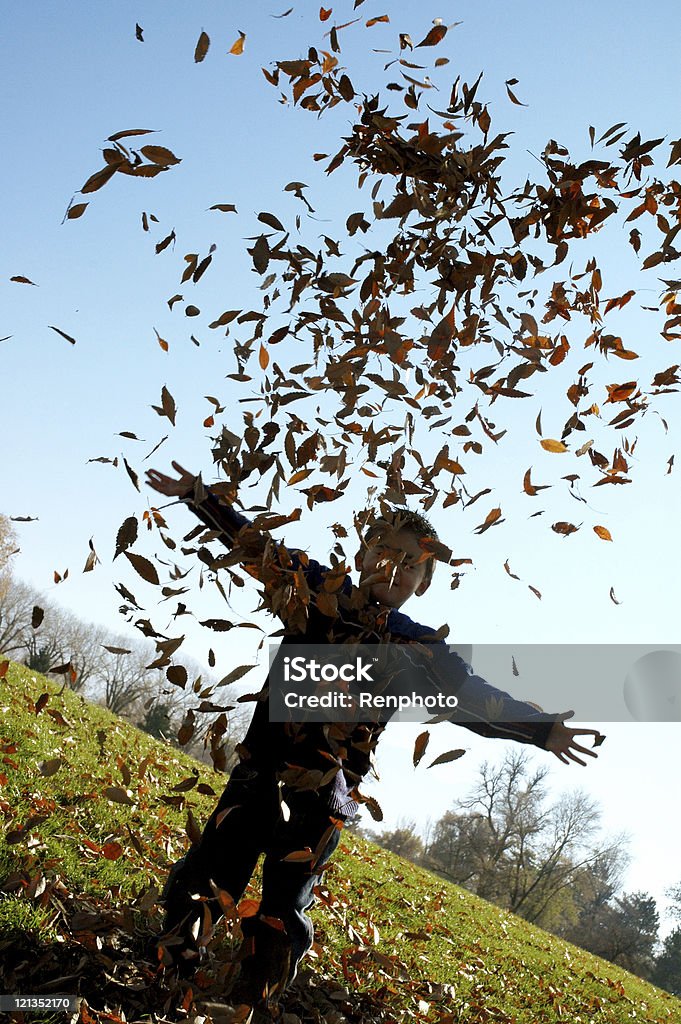 Divertimento gettare foglie di autunno - Foto stock royalty-free di A mezz'aria