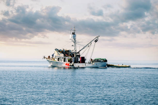 istock fishing boat under a beautiful sunset 1213523965