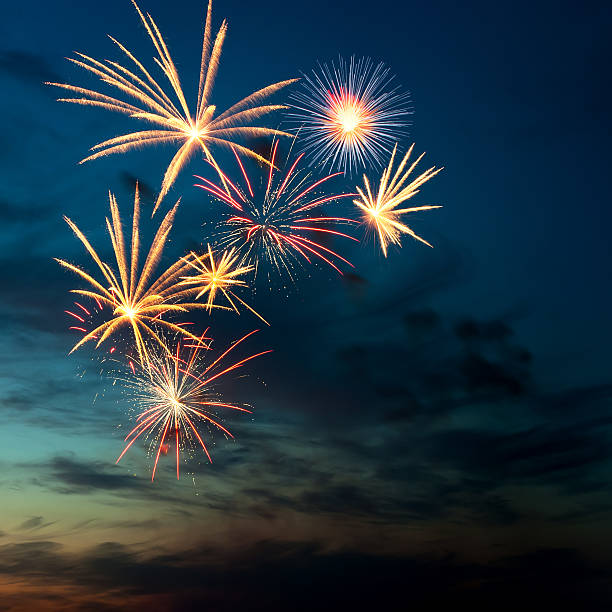 istock Brightly colorful fireworks  in the night sky 121352904