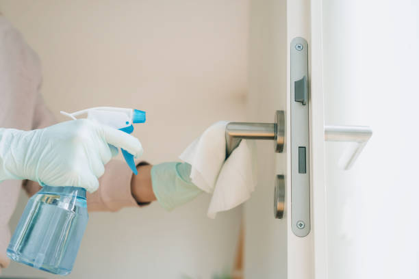 Woman cleaning a door handle with a disinfection spray Woman in protective gloves cleaning a door handle with a disinfection spray and disposable wipes cleaning equipment photos stock pictures, royalty-free photos & images