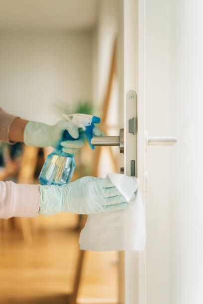 istock Woman cleaning a door handle with disinfection spray 1213533009