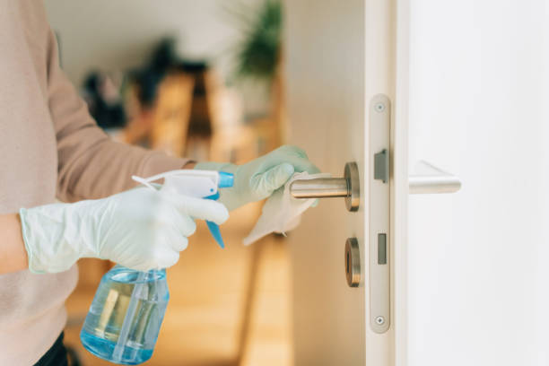 Woman cleaning a door handle with a disinfection spray and disposable wipe Woman in disposable gloves cleaning a door handle with a disinfection spray doorknob stock pictures, royalty-free photos & images
