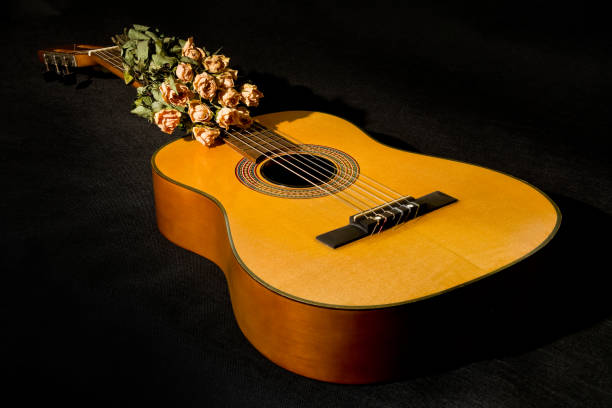 istock Acoustic guitar and dried roses on black background 1213536417