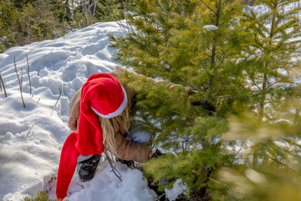 istock Young woman wearing Santa hat cuts Christmas tree down 1213537613
