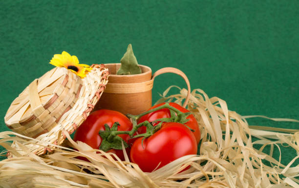 vegetarian still life of tomato on background