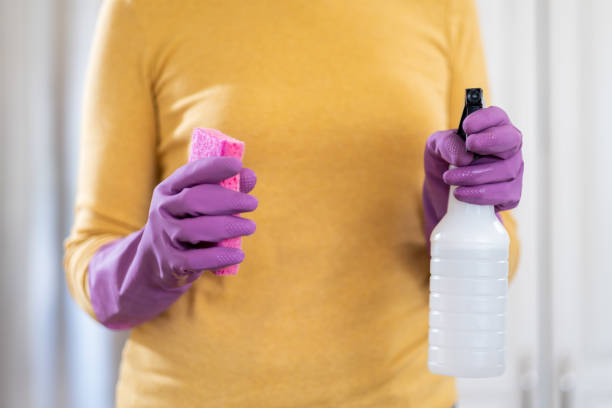 istock Woman Sanitizing the Counter with Disinfectant and Sponge 1213538541