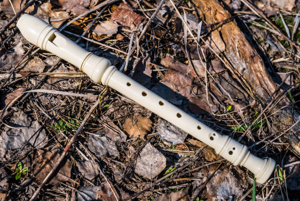 white flute lie on a dry leaves in a forest