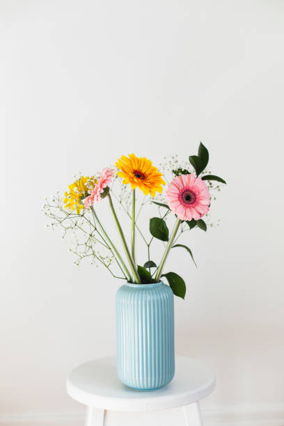 bouquet de marguerite de gerbera - decor yellow white blue photos et images de collection