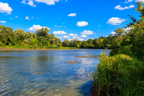 istock Summer landscape with beautiful river, green trees and blue sky 1213540855