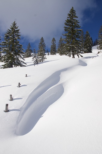 foot steps in snow made from a single hiker